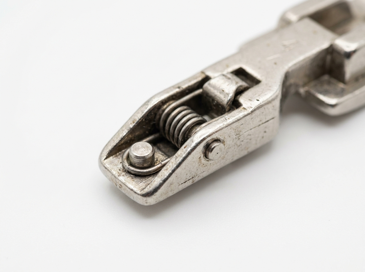 Close-up macro detail of old style Bernina snap-on shank adapter