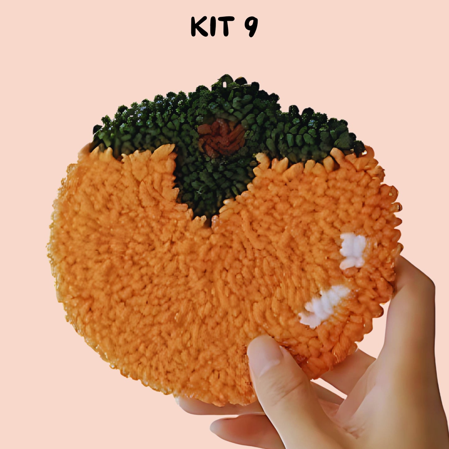 Punch Needle Fruit DIY Coaster Set 1