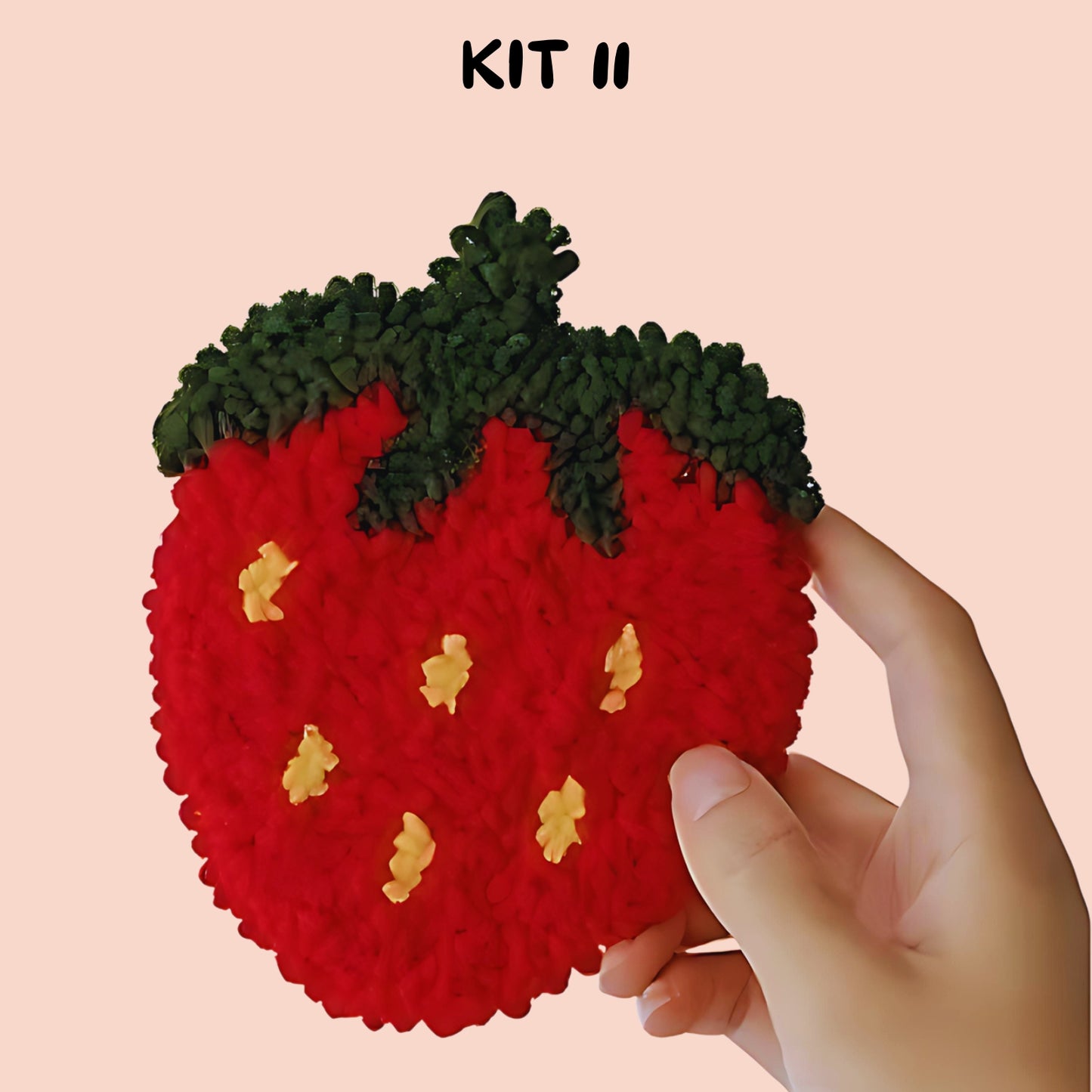 Punch Needle Fruit DIY Coaster Set 1