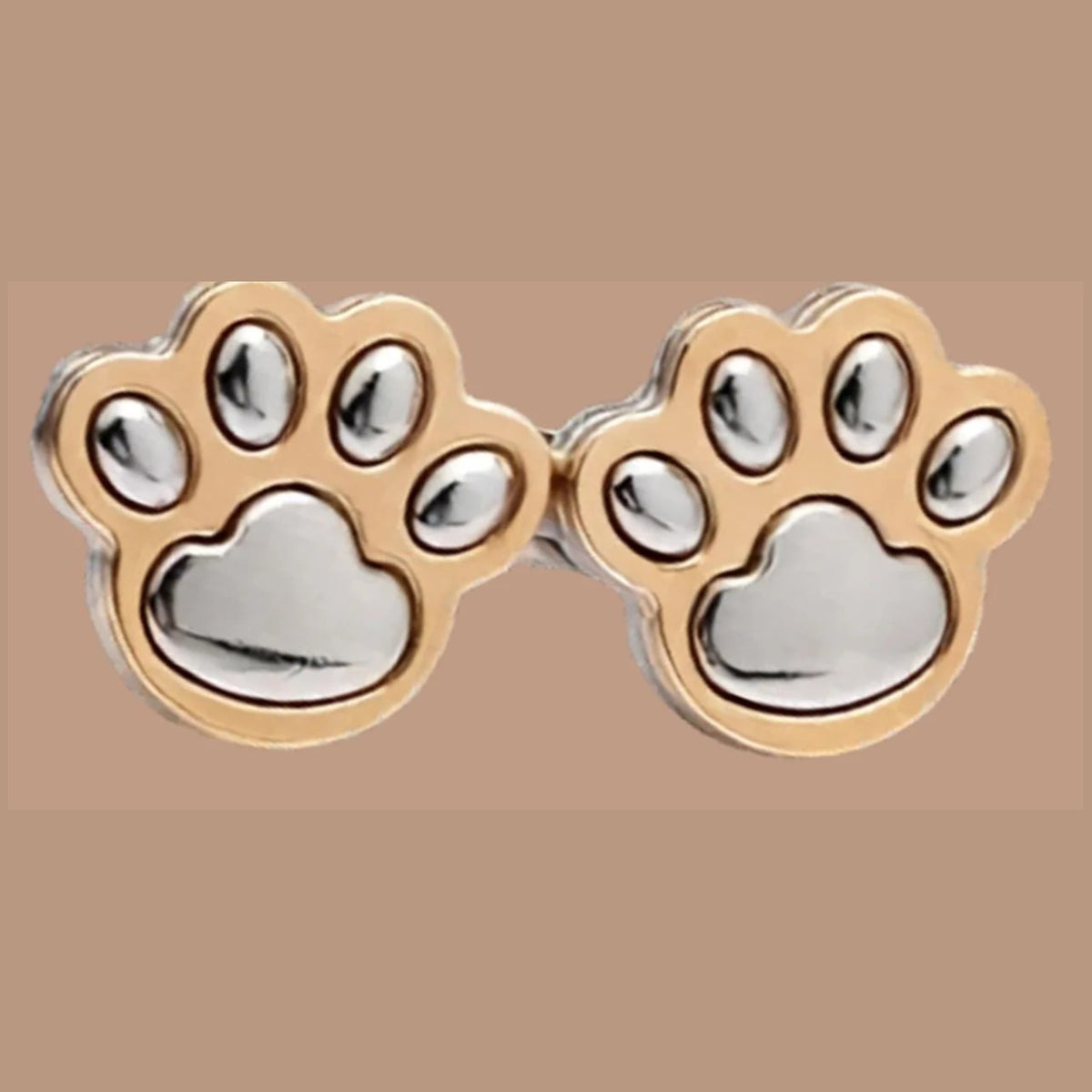 Bright silver paw print waist adjuster set, silver paw pads in a gold rim