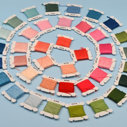 Embroidery Floss Bobbin Organizer Kit